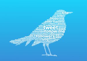A bird with a word cloud inside, representing Twitter.